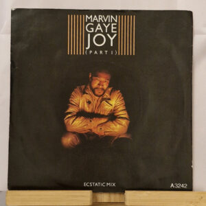 Marvin Gaye – Joy - Vinyl Maxi-Single Schallplatte